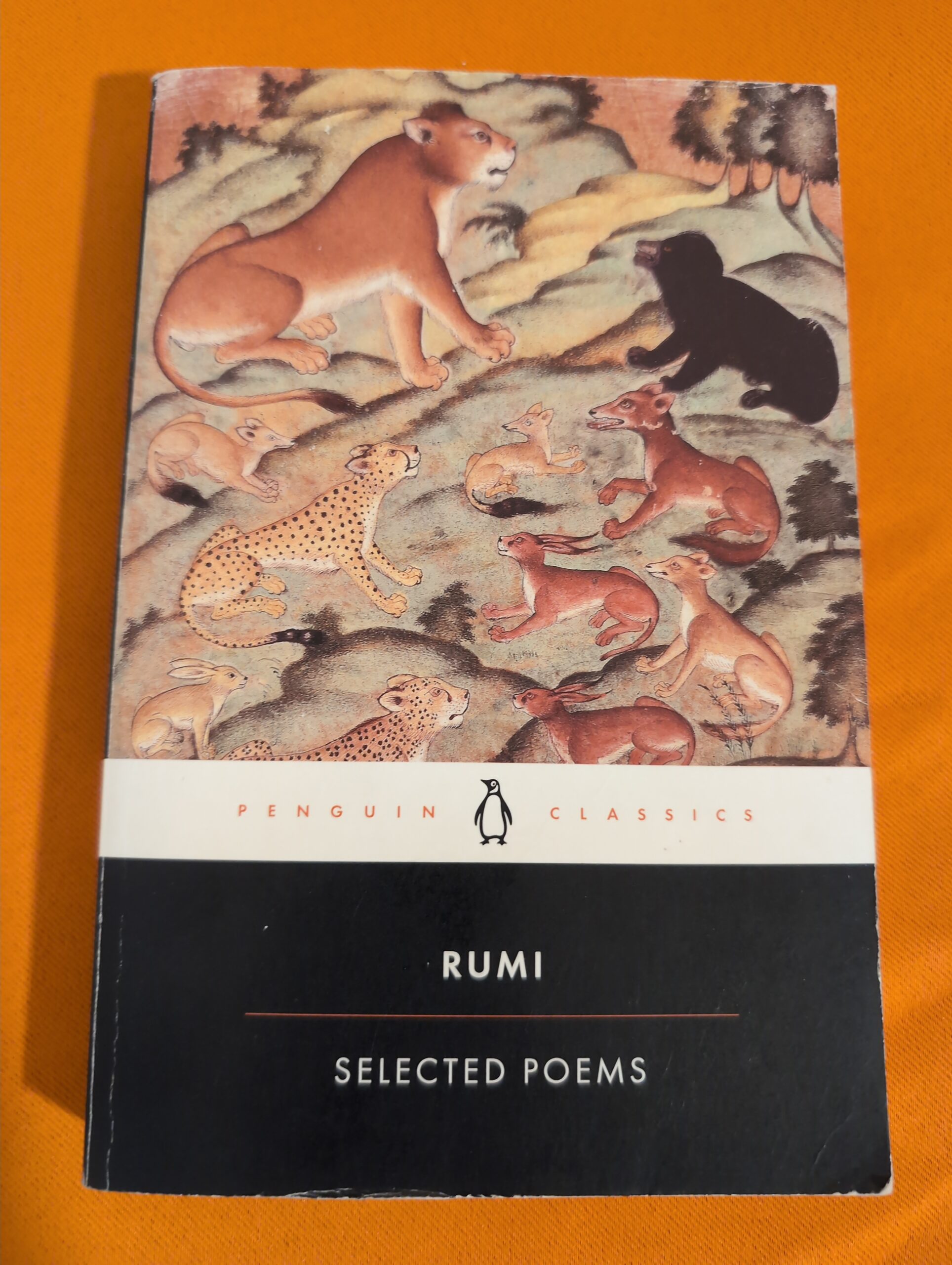 The Essential Rumi (Penguin Classics)